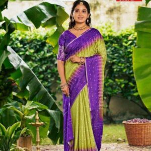 Siddhanth Madhyakalin Prints Silk Cotton Sarees