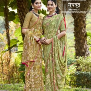 Ramrasiya Meghdoot Saree