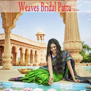 Siddhanth Bridal Pattu Saree